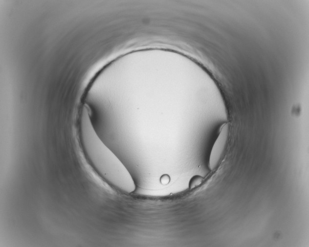 X0000090491518200708102207