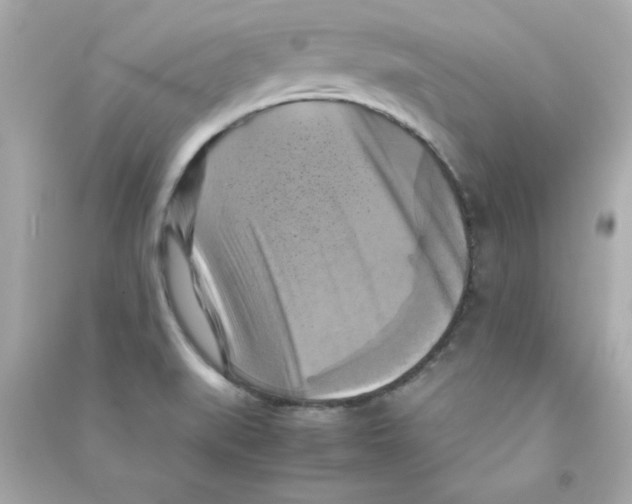 X0000090491519200708102207