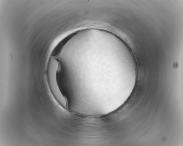 X0000090491520200708102208