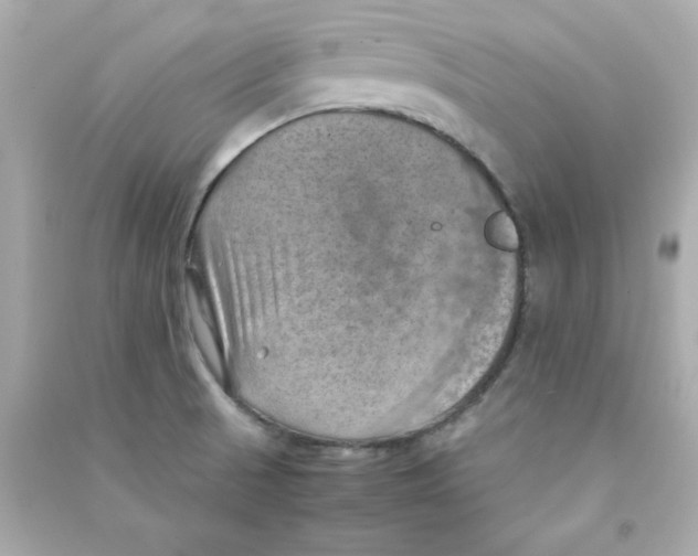 X0000090491521200708102208