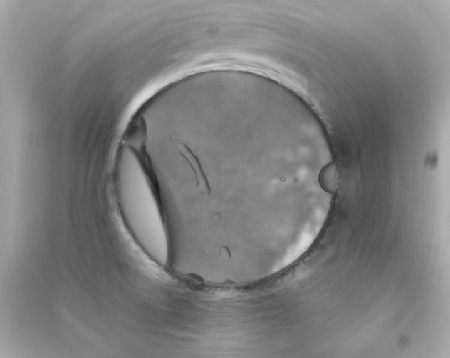 X0000090491522200708102208