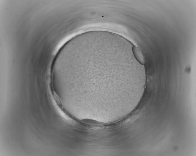 X0000090491523200708102208