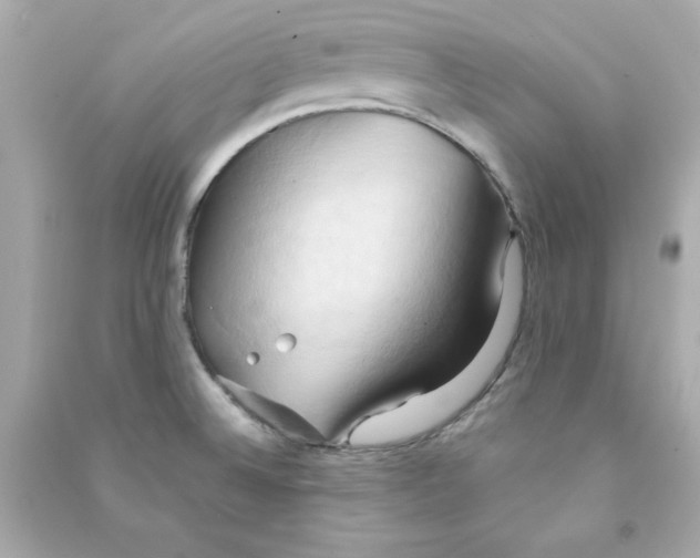 X0000090491524200708102208