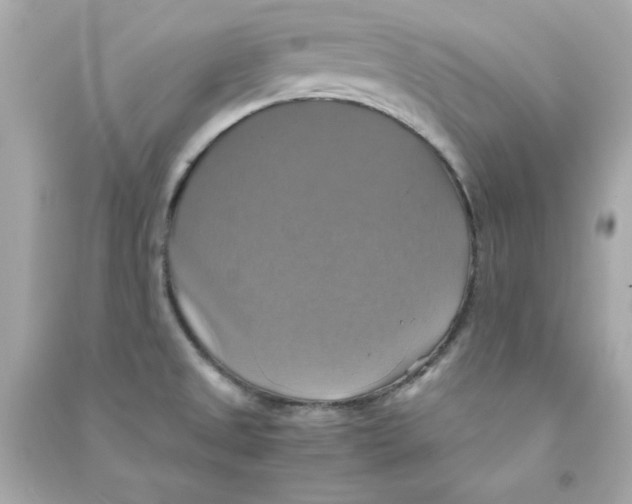 X0000090491525200708102208