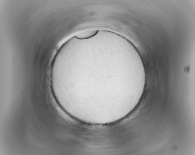 X0000090491526200708102208