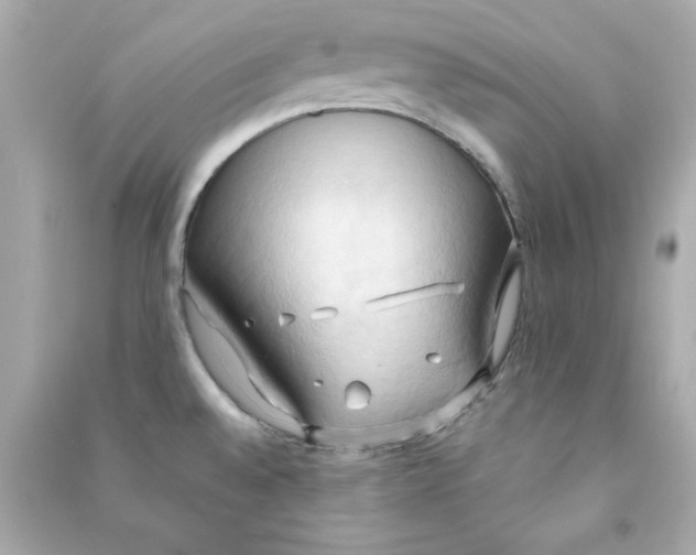 X0000090491528200708102208