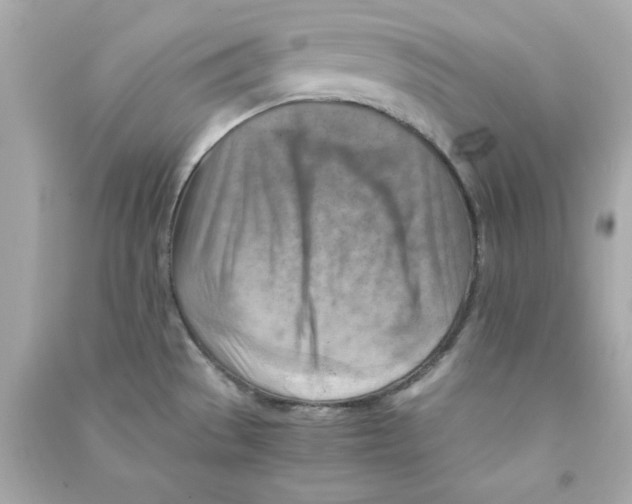 X0000090491529200708102208