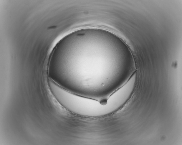 X0000090491530200708102208