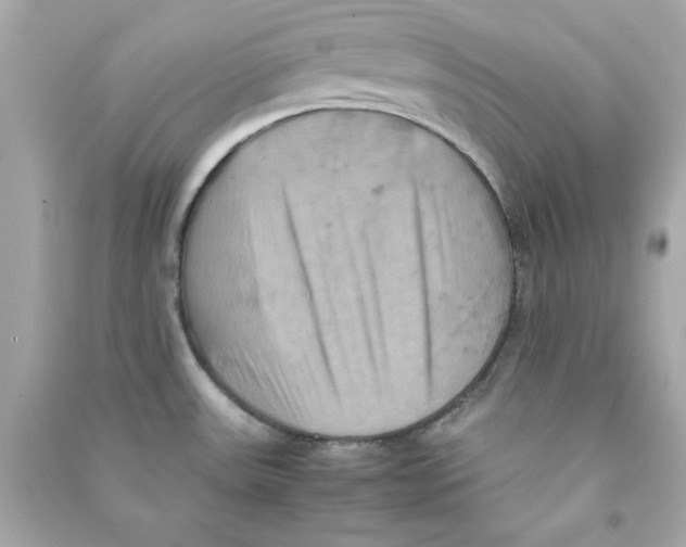 X0000090491531200708102208