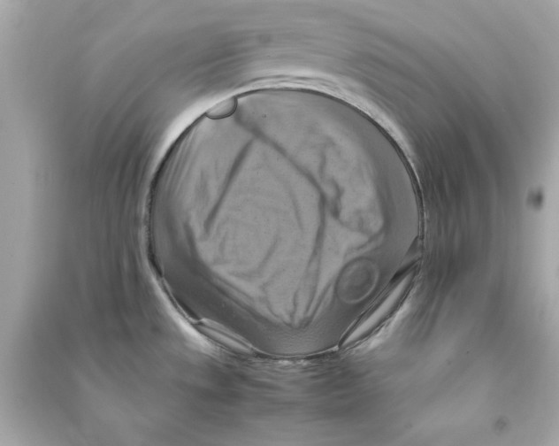 X0000090491533200708102208