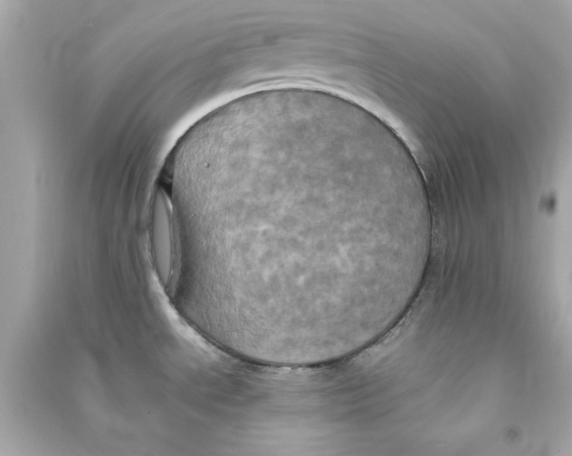 X0000090491534200708102208