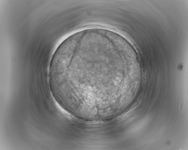 X0000090491535200708102208