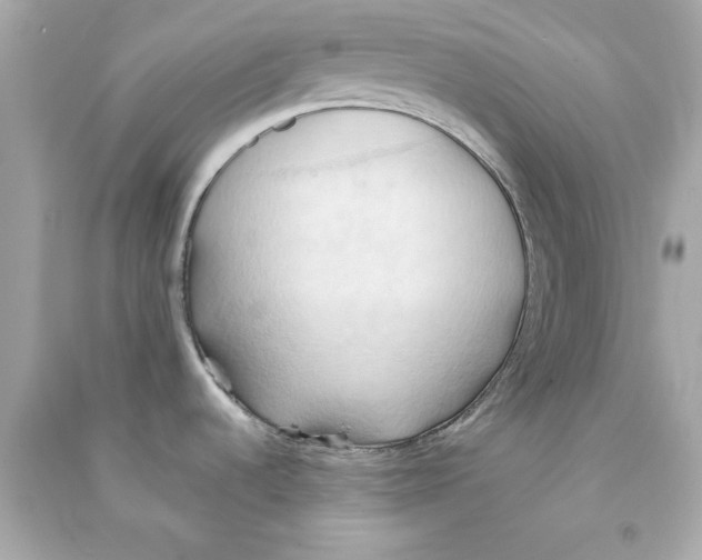 X0000090491536200708102208