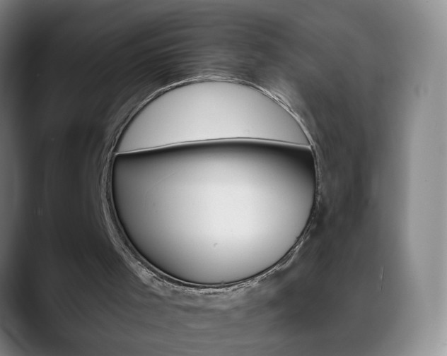 X0000090500001200707130958