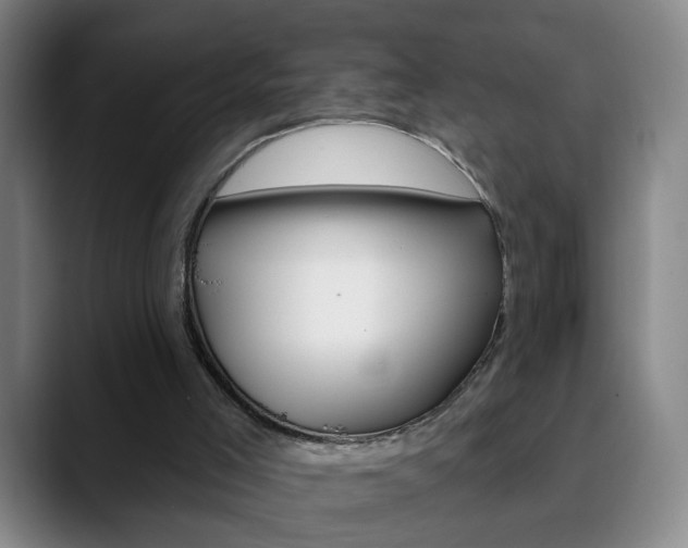 X0000090500005200707130958