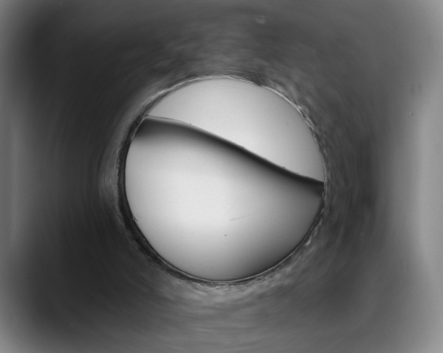 X0000090500006200707130958