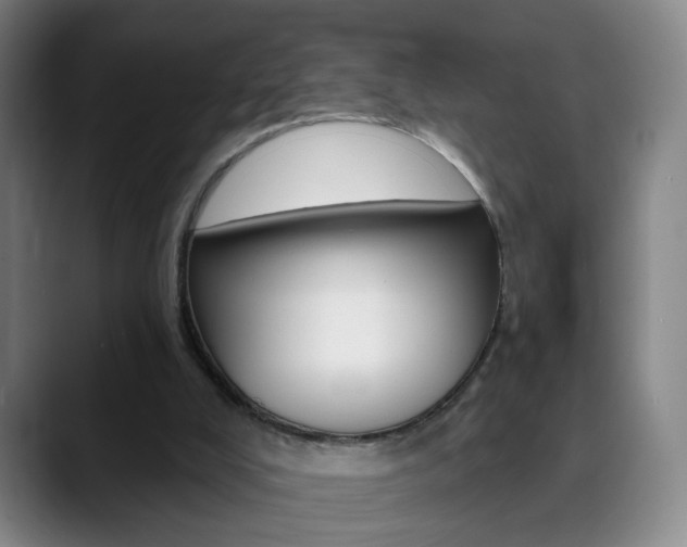 X0000090500008200707130958