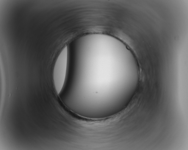 X0000090500013200707130958