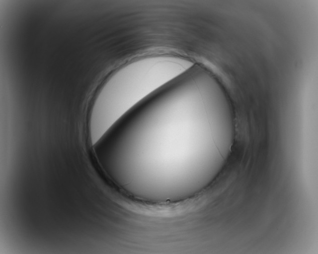 X0000090500015200707130958