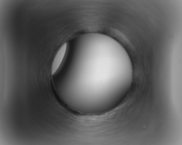 X0000090500025200707130957