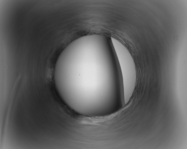 X0000090500033200707130957
