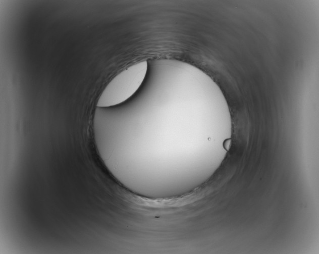 X0000090500038200707130957