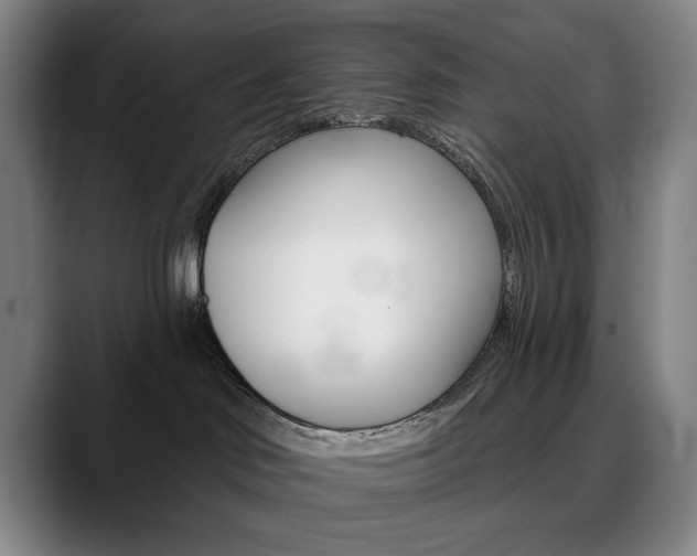 X0000090500046200707130957