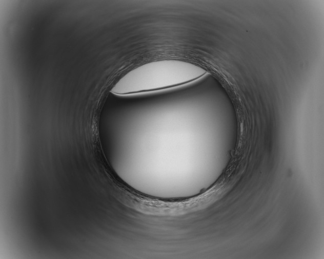 X0000090500048200707130957