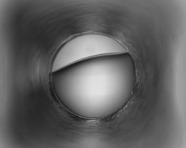 X0000090500050200707130957