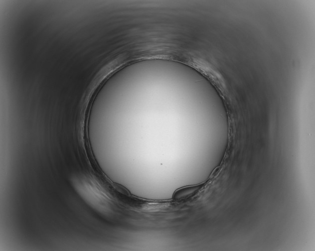 X0000090500051200707130957