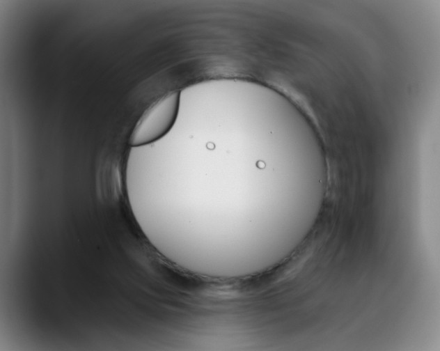 X0000090500061200707130957