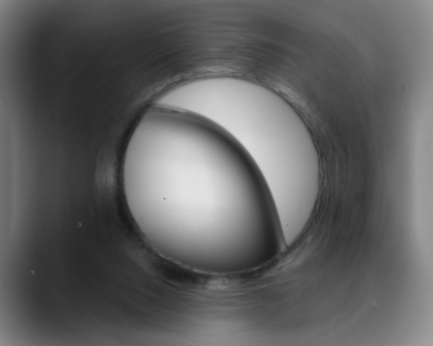 X0000090500064200707130957