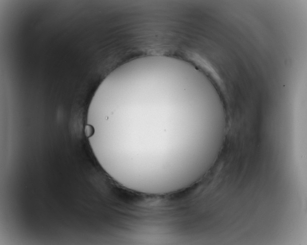 X0000090500065200707130957