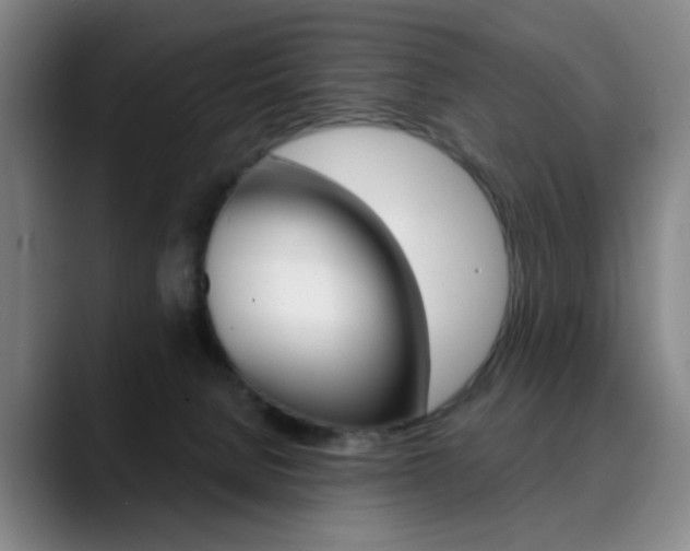 X0000090500080200707130957
