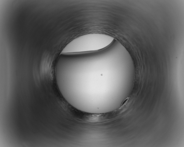 X0000090500090200707130957