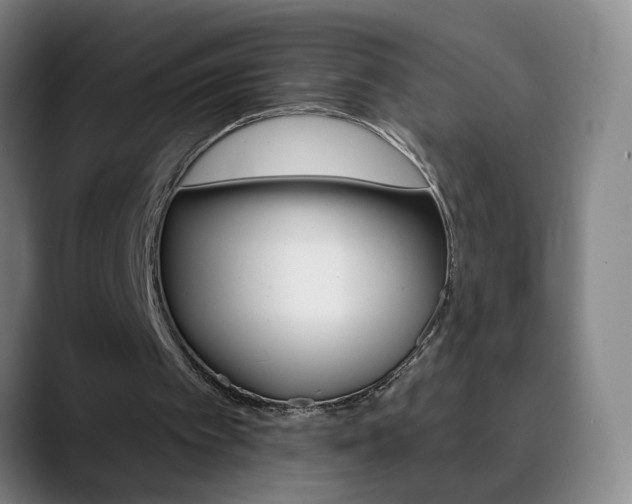 X0000090500097200707130957