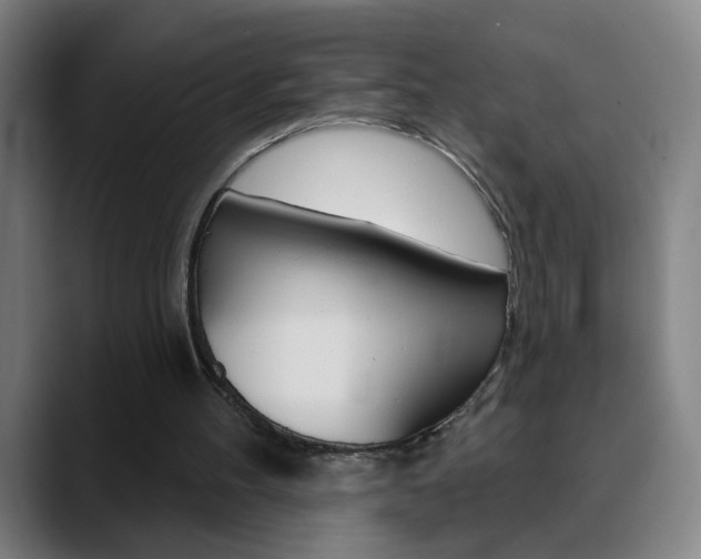 X0000090500100200707130957