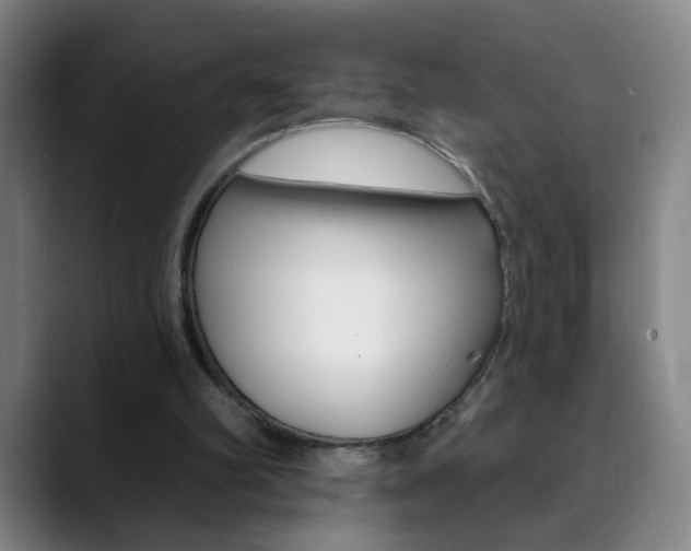 X0000090500102200707130957