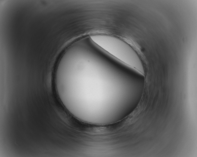 X0000090500108200707130956