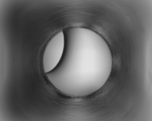 X0000090500110200707130956