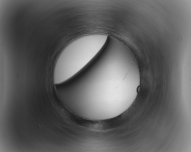 X0000090500116200707130956