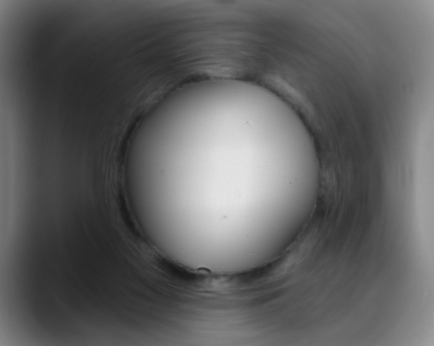 X0000090500117200707130956