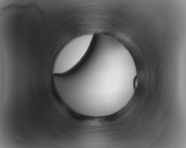 X0000090500120200707130956