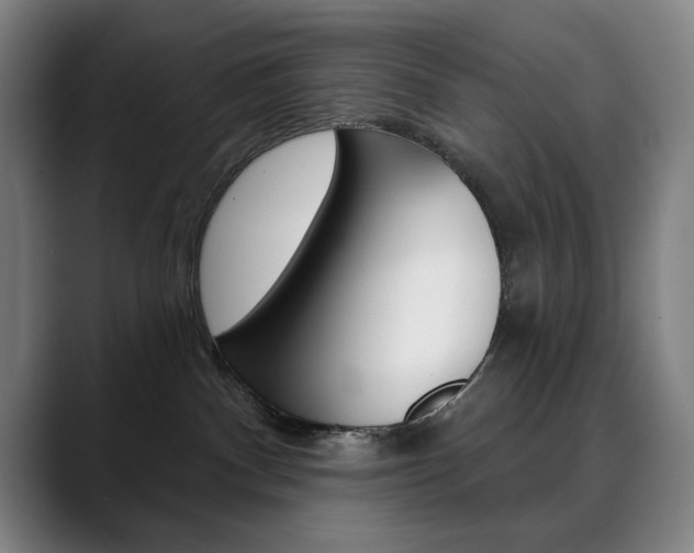 X0000090500140200707130956