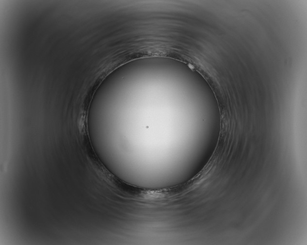 X0000090500141200707130956
