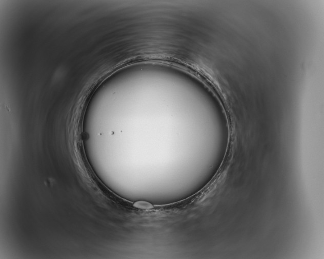 X0000090500145200707130955