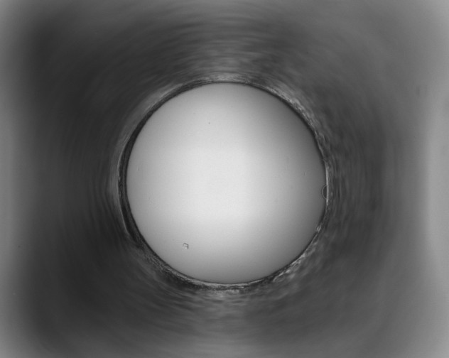 X0000090500147200707130955