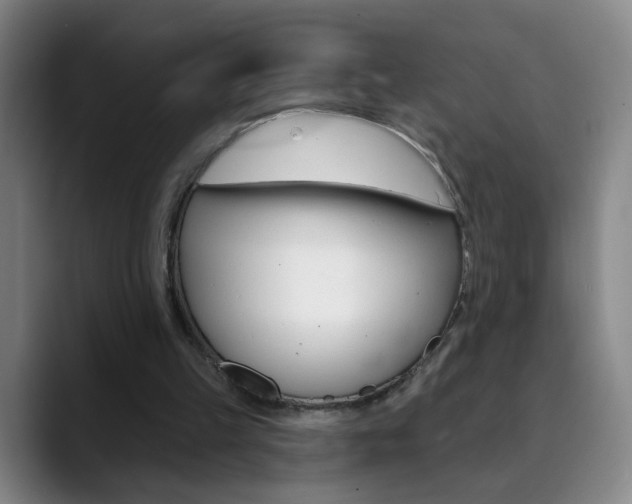 X0000090500149200707130955