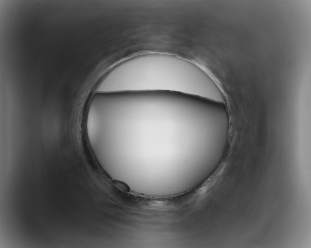X0000090500151200707130955