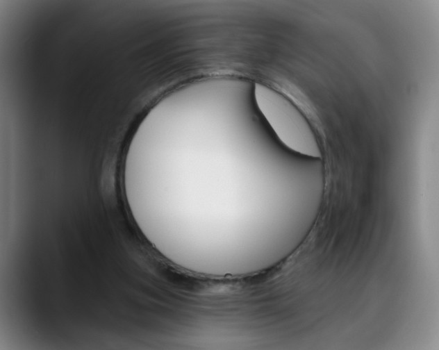 X0000090500155200707130955